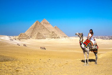Büyük Giza Piramidi 'nde çölde yolculuk yapan deve UNESCO Dünya Mirası alanı, Kahire, Mısır.