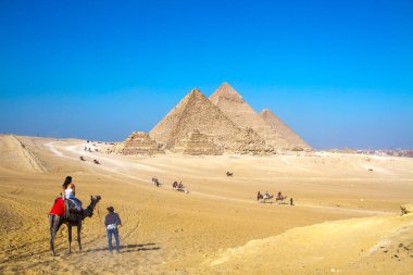 Büyük Giza Piramidi 'nde çölde yolculuk yapan deve UNESCO Dünya Mirası alanı, Kahire, Mısır.