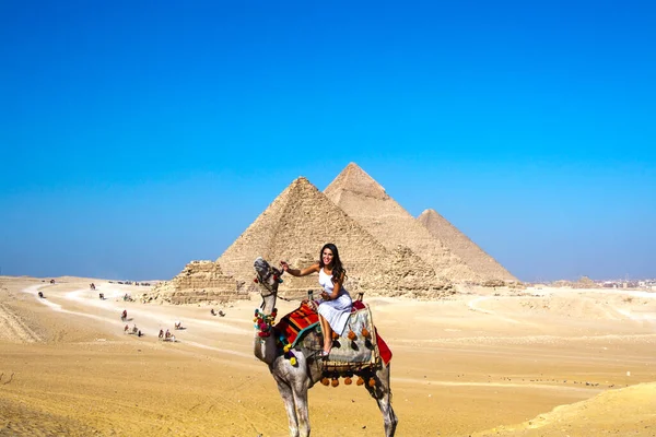Kameel Rijden Een Woestijn Bij Grote Piramide Van Gizeh Unesco — Stockfoto