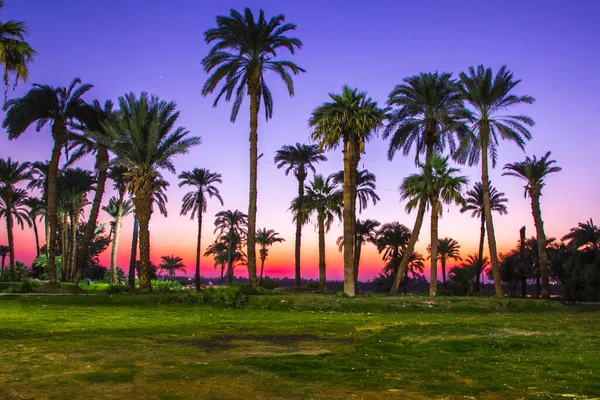 Nijl Rivier Bij Zonsondergang Luxor Egypte — Stockfoto