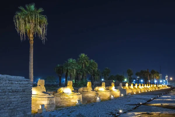 Günbatımında Antik Luxor Tapınağı Unesco Dünya Mirası Alanı Lüksör Mısır — Stok fotoğraf