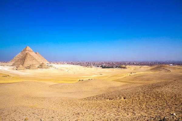 Grande Pirâmide Gizé Património Mundial Unesco Cairo Egipto — Fotografia de Stock