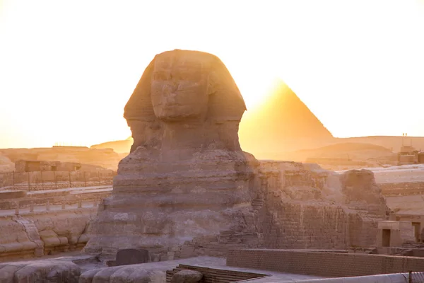Stor Sfinx Giza Vid Solnedgången Kairo Egypten Stockbild