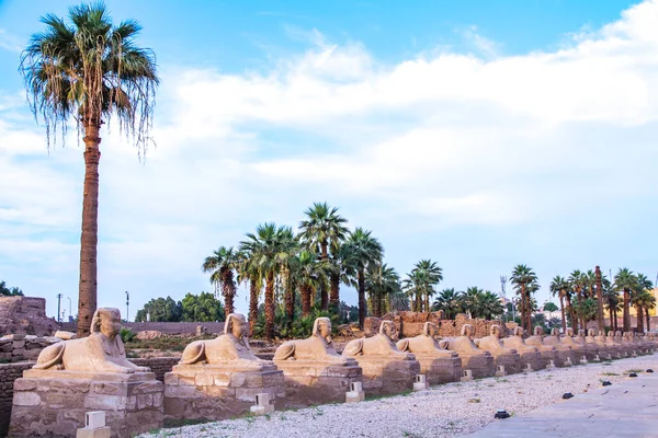 Oude Luxor Tempel Bij Zonsondergang Unesco Werelderfgoed Luxor Egypte — Stockfoto