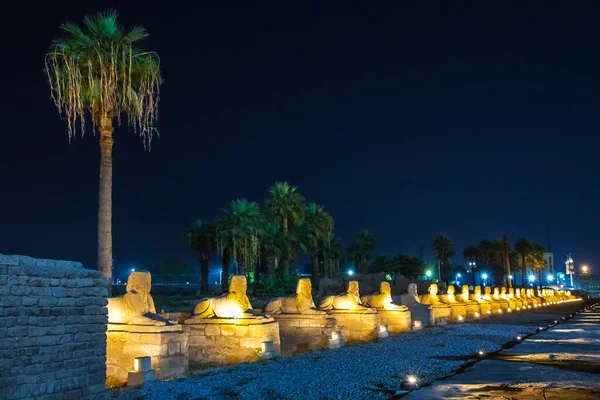 Oude Luxor Tempel Bij Zonsondergang Unesco Werelderfgoed Luxor Egypte — Stockfoto