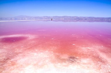 İran, Şiraz 'ın güzel pembe tuz gölü.