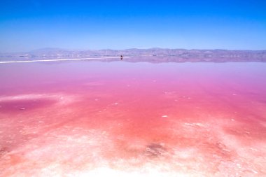 İran, Şiraz 'ın güzel pembe tuz gölü.
