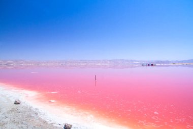 İran, Şiraz 'ın güzel pembe tuz gölü.