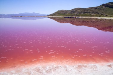 İran, Şiraz 'ın güzel pembe tuz gölü.