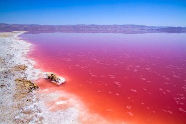 İran, Şiraz 'ın güzel pembe tuz gölü.