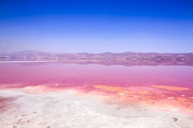 İran, Şiraz 'ın güzel pembe tuz gölü.