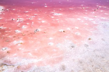İran, Şiraz 'ın güzel pembe tuz gölü.