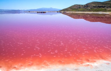 İran, Şiraz 'ın güzel pembe tuz gölü.
