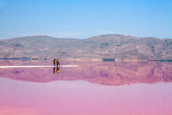 Beautiful pink salt lake of Shiraz, Iran.