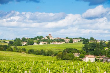 Bordeaux, Fransa yakınlarındaki ünlü Saint-milion üzüm bağı.