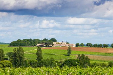 Bordeaux, Fransa yakınlarındaki ünlü Saint-milion üzüm bağı.
