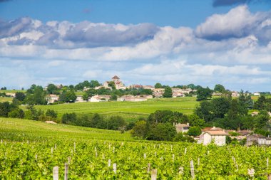 Bordeaux, Fransa yakınlarındaki ünlü Saint-milion üzüm bağı.
