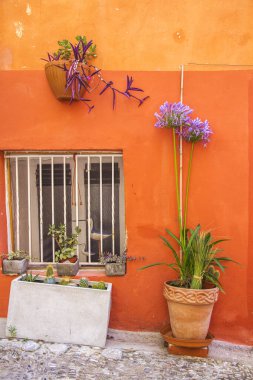 Tipik Akdeniz evlerinde bir duvar ve caddenin yanına dikim dekorasyonu.