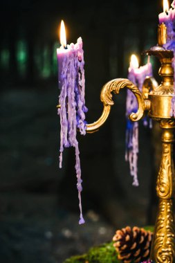 Moss, romantik tablo mumlar damlama ile erimiş mum ve süper - eski dünya natürmort