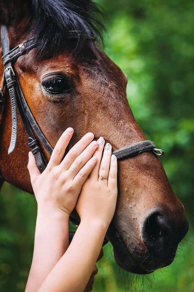 Szczegół Mężczyzna Kobieta Ręce Głaskanie Konia — Zdjęcie stockowe