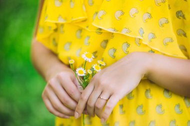 Kadın el ile bir papatya. Çiçek kadınla