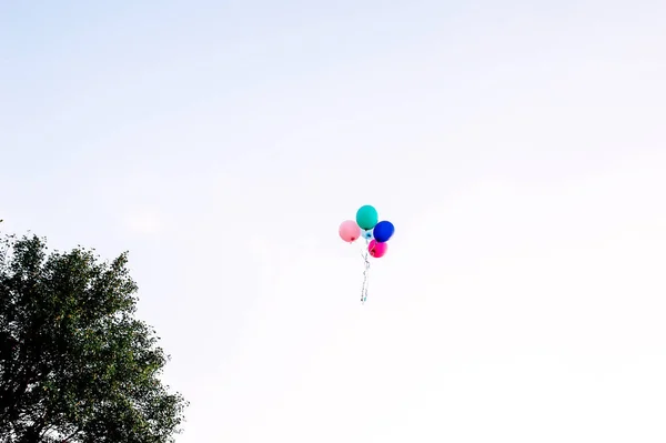 Cabang Balon Udara Berwarna Warni Terbang Udara — Stok Foto