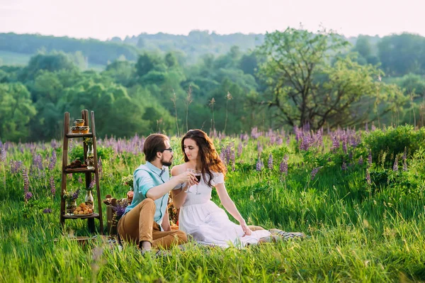 Genç bir çift gözlük açık bir sessiz piknik kırmızı şarap ile tıklatması