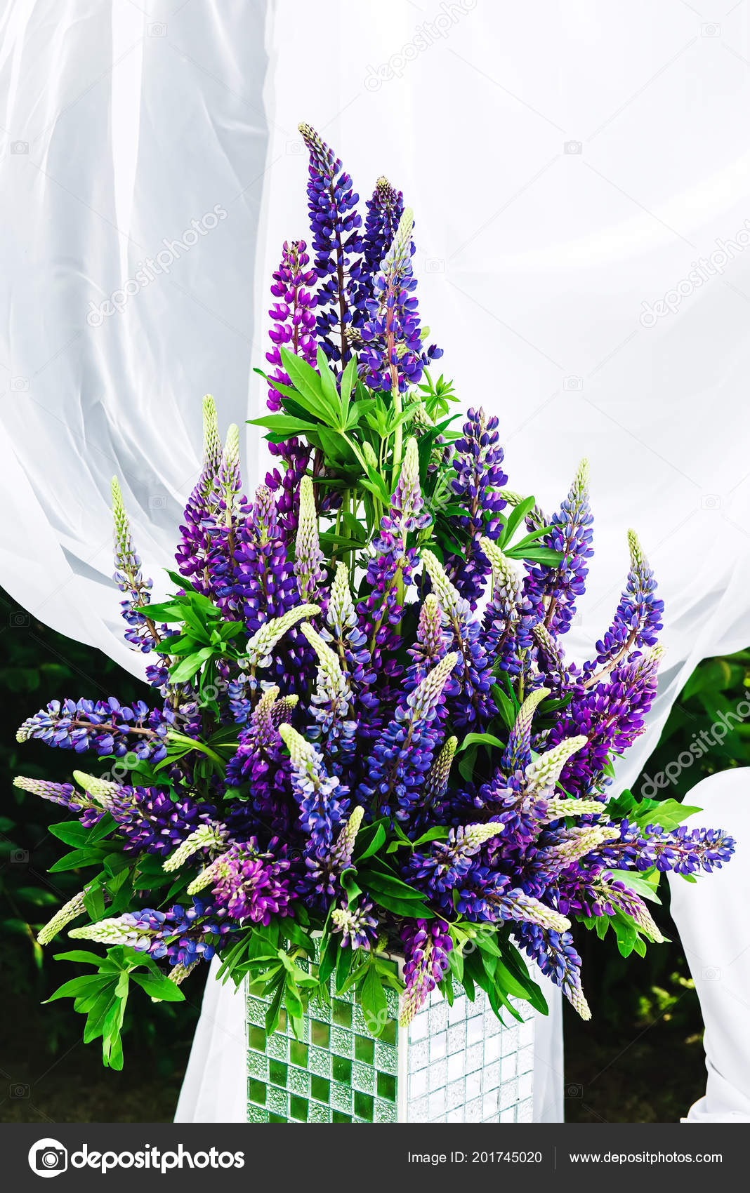 Flower Arrangement Purple Lupine Pedestal Still Life Lupines Stock Photo C Strike0 201745020