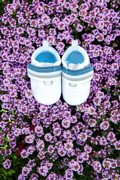 Pair Kids White Footwear Bush Small Purple Flowers Top View — Stock Photo, Image