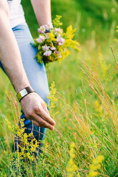 Close picture of male hands tearing a green wildflower for a cute bouquet