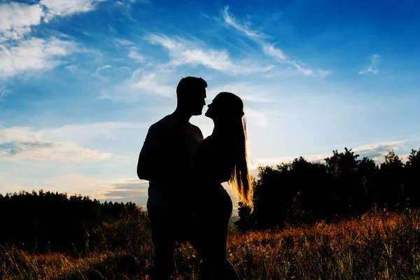 Silueta Una Joven Pareja Abrazándose Campo Verano Mirándose —  Fotos de Stock