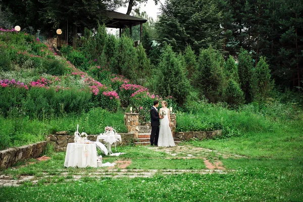 Matrimonio Coppia Piedi Piano Sotto Una Zona Verde — Foto Stock