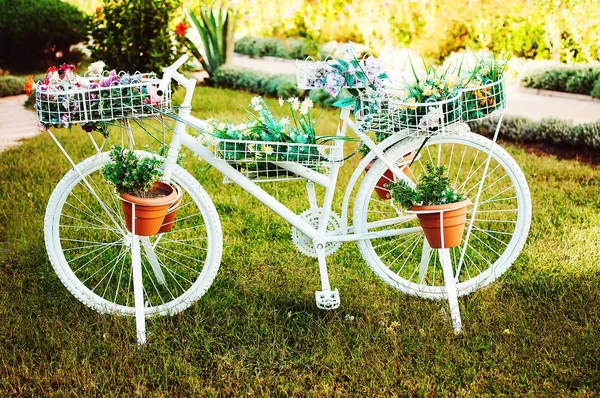 Decoratieve Witte Gekleurde Fiets Met Bloempotten Het Gras Een Leuk — Stockfoto