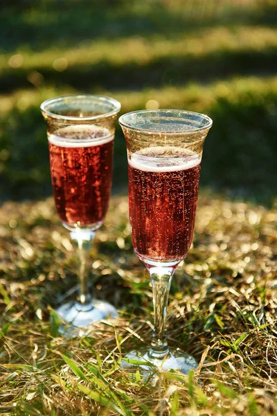 Due Bicchieri Vino Rosso Giardino — Foto Stock