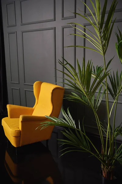 舒适的芥末色扶手椅 棕榈树和绿墙 — 图库照片