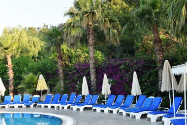 Turist bekleyen boş güneşlikler. Turistik bölgede güneşli bir günde yaz tatili, turizm krizi ve salgın konseptlerinde hiç kimse.