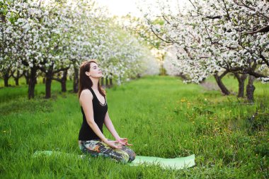 Genç Kafkas yogi kadın, sabahları meditasyon yapıyor çiçek açan bahçedeki yeşil çimlerde egzersiz yapıyor, Virasana 'da nefes alma yogası yapıyor, açık havada meditasyon fiziksel yorgunluğu azaltıyor.