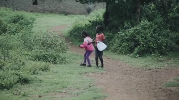 KISUMU, KENIA - 15 DE MAYO DE 2018: Dos niños africanos caminando juntos por el bosque. Feliz chico y chica pasando tiempo fuera . — Vídeo de stock