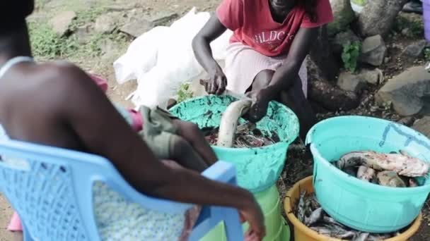 KISUMU, KENYA - 16 MAGGIO 2018: Uomo e donna puliscono insieme il pesce crudo. Famiglia in Africa preparare la cena con coltello . — Video Stock