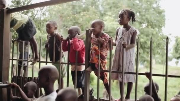 Кісуму, Кенія - 21 травня 2018: Група маленьких дітей африканських стоячи на паркан за межами. Хлопчиків і дівчаток в дитячий майданчик. — стокове відео