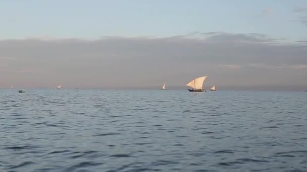 View from the motor boat. Beautiful landscape of sailboat in morning. Ship with people is going fishing in sea in Africa. — Stock Video