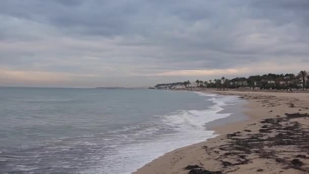O mar com ondas espumosas e praia de areia com algas no início da manhã — Vídeo de Stock