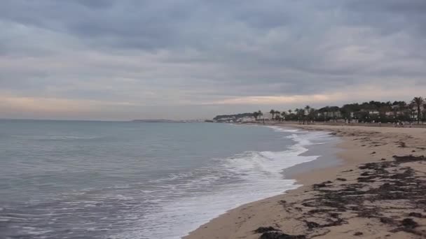 The sea with foamy waves and sandy beach with seaweed early in the morning — Stock Video