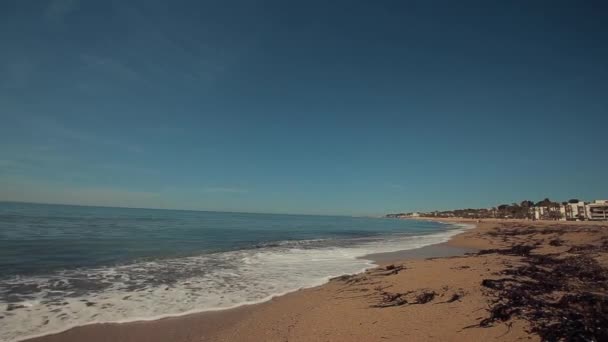Linea costiera tra mare tranquillo e spiaggia sabbiosa con alghe e alcuni alberghi in lontananza — Video Stock