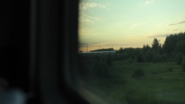 Un tren va por el campo. Vista desde la ventana. Viajando en tren al atardecer. Vista de césped verde y árboles desde la ventana del tren — Vídeos de Stock