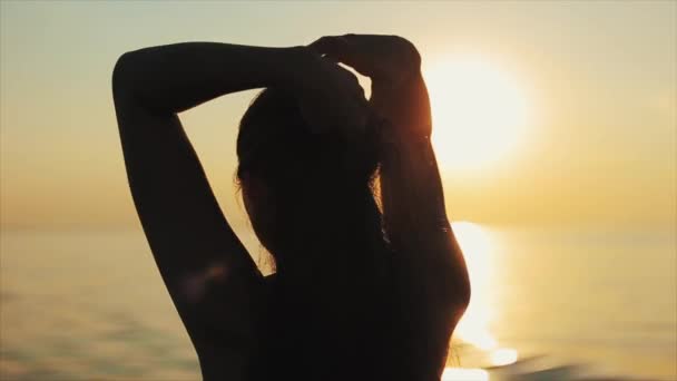 Tyłu zbliżenie piękna dziewczyna dotykając jej długie włosy, podziwiając widok na rzekę o zachodzie słońca — Wideo stockowe