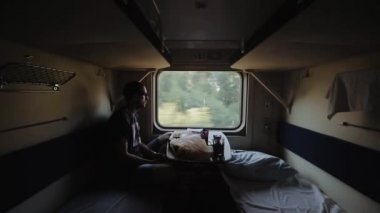 Genç bir erkek yolcu bir tren vagonu sabah seyahat eder. Penceresinde arama yapar ve bir şey hakkında düşünüyor. Yan görünüm