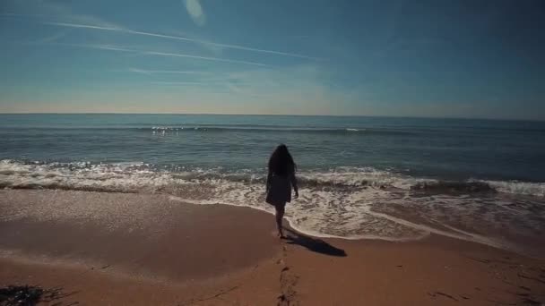 Вид сзади на красивую девушку с длинными каштановыми волосами, идущую босиком в море — стоковое видео