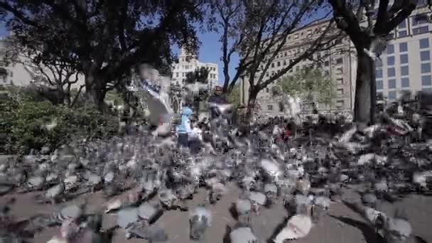 Барселона, Іспанія - 27 квітня 2018: Отара голубів і сім'ї чоловік, дружина, дві маленькі сини і дівчинку на площі Каталонії в Барселоні в Іспанії — стокове відео
