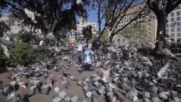 Barcelona, España - 27 de abril de 2018: Padre y dos hijos entre muchas palomas en la plaza de Cataluña — Vídeo de stock